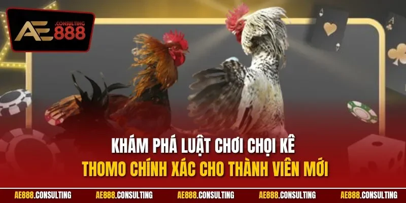 Khám phá luật chơi chọi kê THOMO chính xác cho thành viên mới